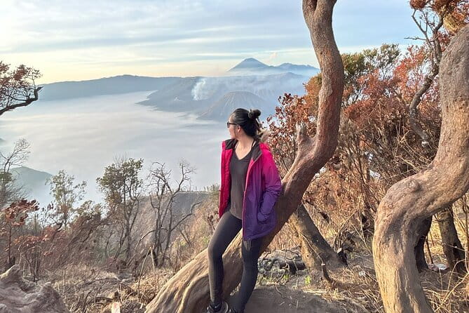 3D2N Mount Bromo Ijen Blue Fire with 4-Star Accommodation - The long transfer from Bromo to Ijen
