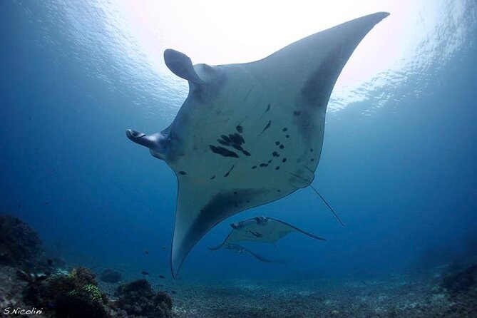 3D2N Sailing Komodo Living on Board Fiday to Sunday (Labuan Bajo) - Practical details that can save you trouble