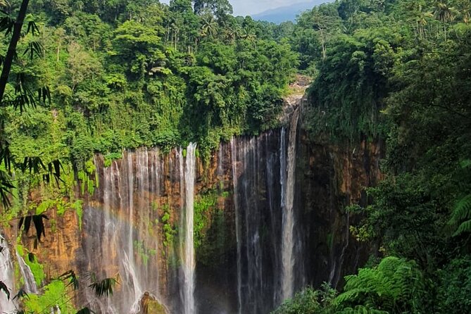 3Days - Tumpaksewu Bromo Ijen Adventure via Malang or Surabaya - The Hard Parts You Should Plan For