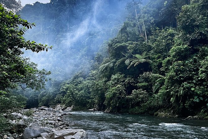4 Day Jungle Adventure including 2 day trek - The overnight jungle camp and what it really means