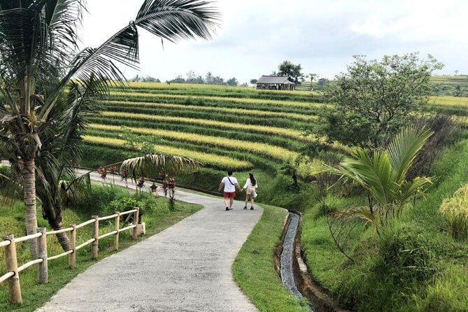 4-Hour Private Tour in Jatiluwih Terraces and Butterfly Park - Why this short Bali outing works