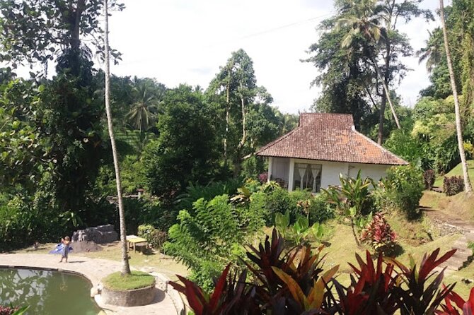4-Hour Private Tour in Jatiluwih Terraces and Butterfly Park - Letting the driver handle Bali’s roads