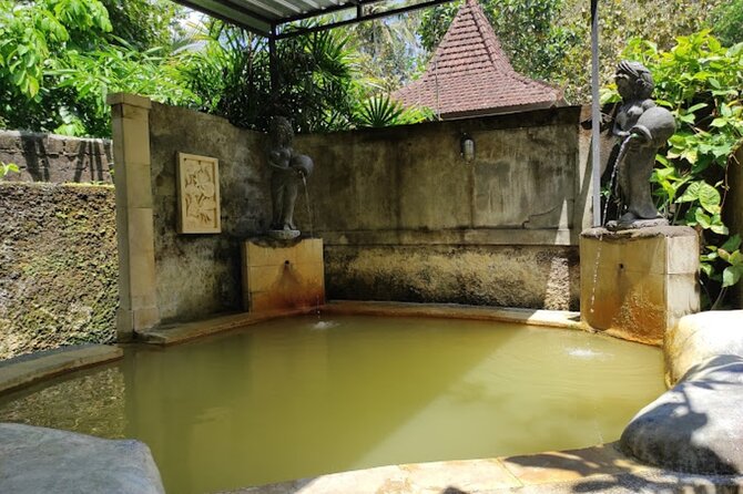 4-Hour Private Tour in Jatiluwih Terraces and Butterfly Park - Who will get the most from this tour
