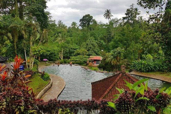 4-Hour Private Tour in Jatiluwih Terraces and Butterfly Park - What the $70 price really covers