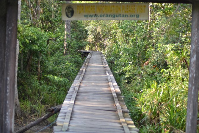 5 Days Truly Orangutan Wildlife Jungle Trail - Why five days works better than a quick jungle trip