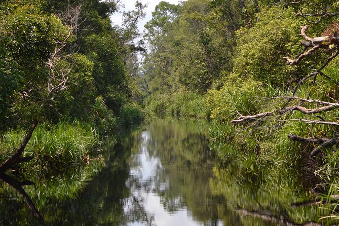 5 Days Truly Orangutan Wildlife Jungle Trail - Day five: Arut Riverside and the yellow palace