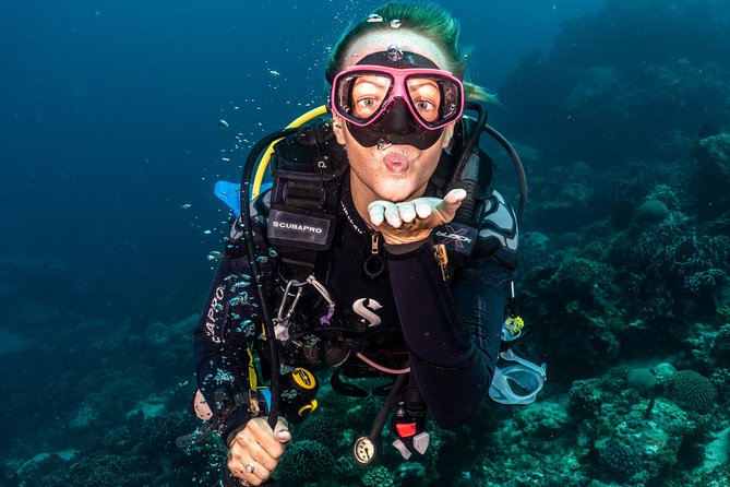 5 Fun Dives in Pemuteran (for certified divers) - Exploration in Menjangan Park - Why Menjangan works well for a five-session package