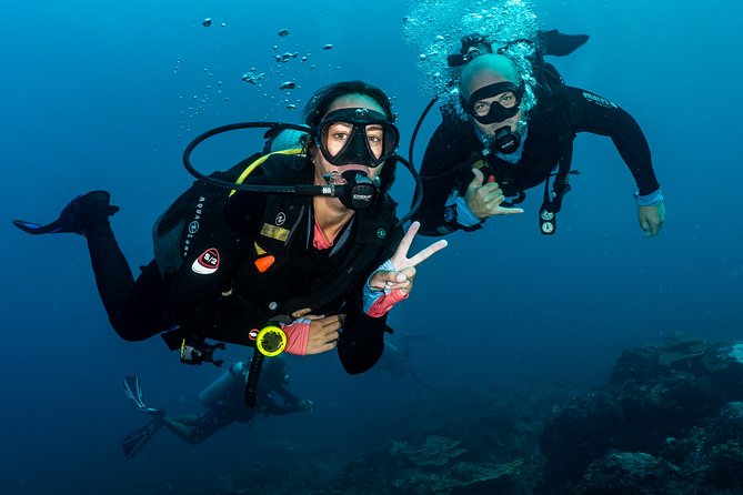 5 Fun Dives in Pemuteran (for certified divers) - Exploration in Menjangan Park - Mandarin, Cave Point, and macro hunting