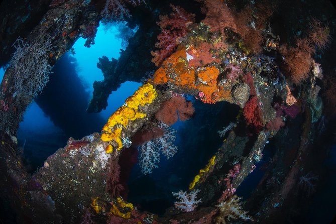 5 Fun Dives in Tulamben (for certified divers) - Discover famous diving sites - Physical Demands and Shore Entry Advice