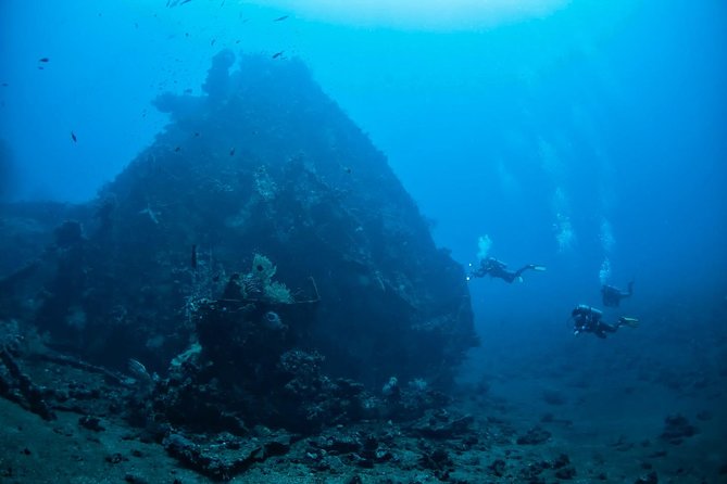 5 Fun Dives in Tulamben (for certified divers) - Discover famous diving sites - Is $166.71 Good Value?