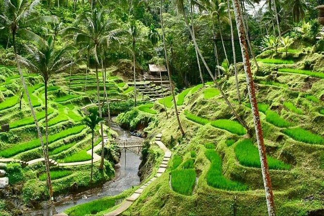 6 Days Best Of Bali And Nusa Penida All Inclusive Private Tour - Why this six-day plan works for first-time Bali visitors