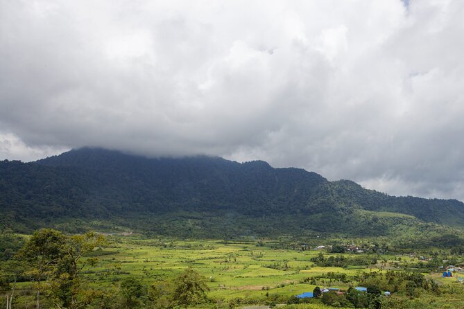 6 Days Bukit Lawang - Berastagi Tour (2D1N Jungle Treking + Sunrise Hiking) - Day 2: Six to seven hours on foot in Gunung Leuser