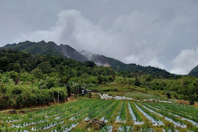 7 Days 6 Nights North Sumatra Tour (Bukit Lawang-Berastagi-Lake Toba) - Day 4: Mount Sibayak and Lau Debuk-Debuk Hot Springs