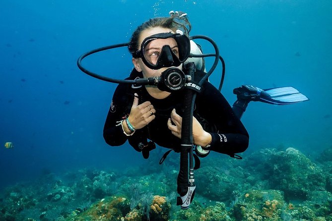 7 Fun Dives in Nusa Lembongan (for certified divers) - Premium Value Package - Equipment, facilities, and transfers