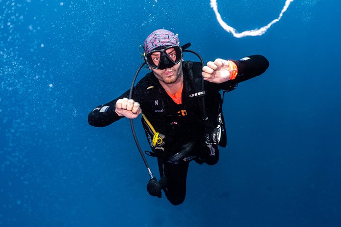 7 Fun Dives in Pemuteran (for certified divers) - Exploration in Menjangan Park - Eels Garden, POS 2 Tombant, and the macro sites