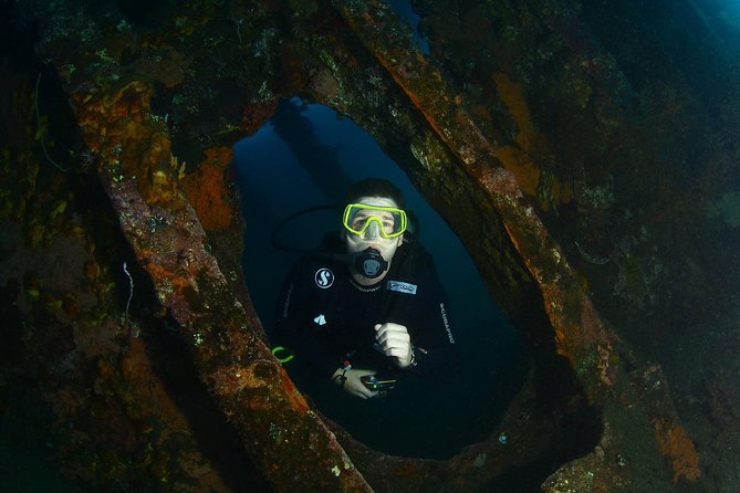 7 Fun Dives in Tulamben (for certified divers) - Premium Value Package - Who should book this package
