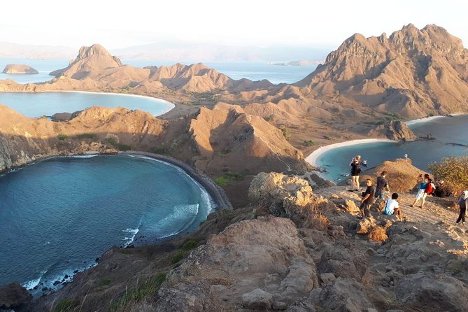 A Day to Komodo Island - Komodo Island: a ranger walk with wild animals