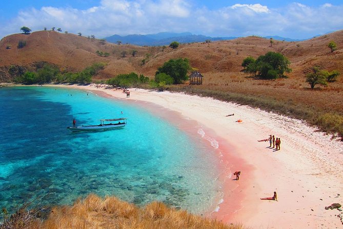 A Day to Komodo Island - Pink Beach: color, swimming, and limited time