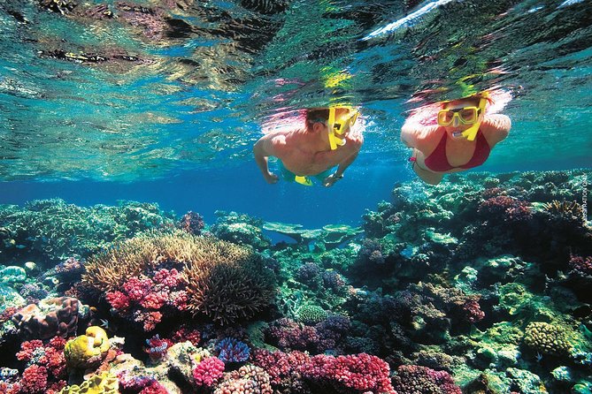 A Day to Komodo Island - Kanawa Island: a final swim before Labuan Bajo