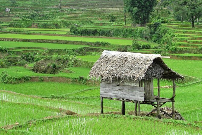 Active Volcano, Rice Field, Hot Spring, Fruit market, Tea Plantation with Lunch - Sundanese lunch and a look at local coffee