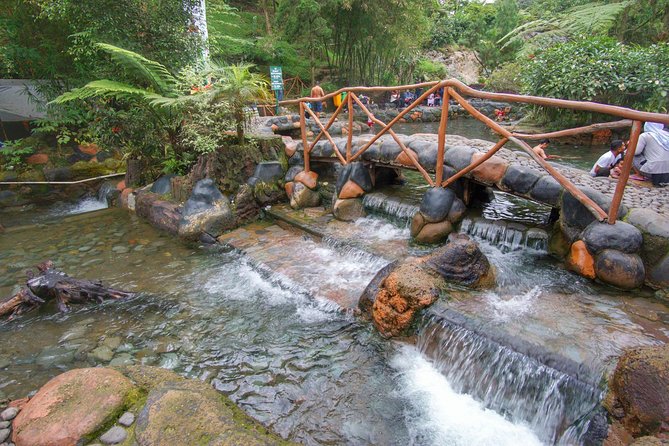Active Volcano, Rice Field, Hot Spring, Fruit market, Tea Plantation with Lunch - Tea plants and mountain views