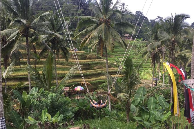 Adventures Tour : Bali Hidden Canyon Trekking - Beji Guwang - Why Beji Guwang makes this Bali day different
