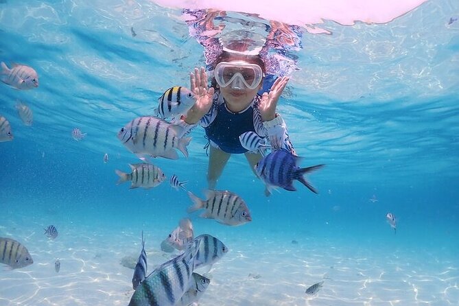 (ALL- IN) Bali Snorkeling Blue Lagoon with Waterfall Visit - Lunch at 2 p.m. breaks up the water time