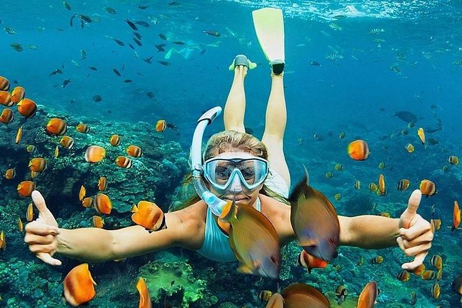 All Inclusive : Bali Blue Lagoon Snorkeling, Lunch, and Transport - What the six-hour Blue Lagoon day feels like
