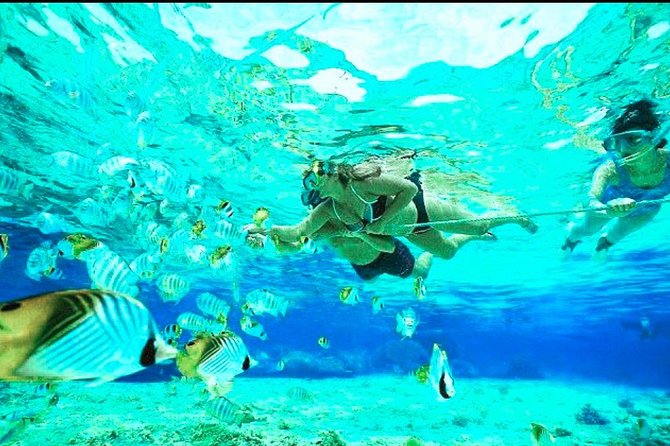 All Inclusive : Bali Blue Lagoon Snorkeling, Lunch, and Transport - The drivers are a major part of the value
