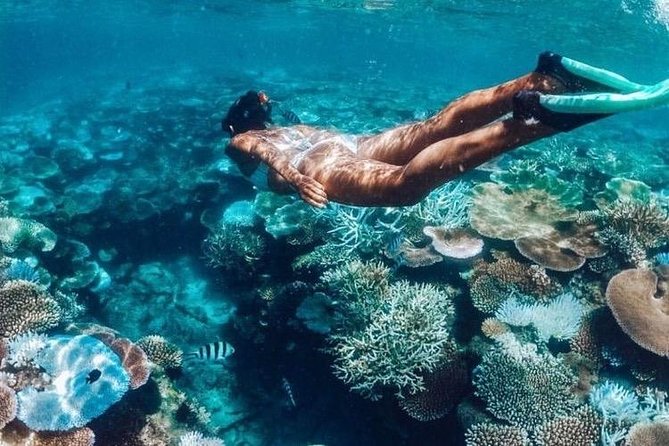 All Inclusive : Bali Blue Lagoon Snorkeling, Lunch, and Transport - Tanjung Jepun adds a second look at Padangbai’s reef