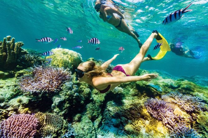 All Inclusive Bali Blue Lagoon Snorkeling with Lunch and Transport - Tanjung Jepun: an easy first look underwater