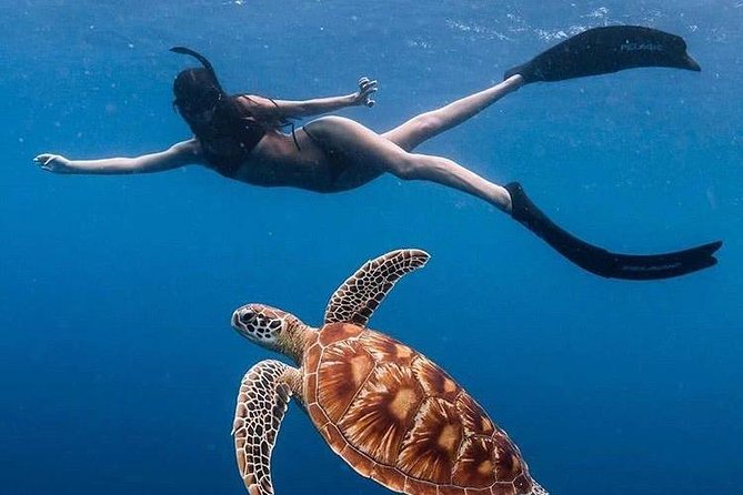 All Inclusive : Bali Blue Lagoon Snorkeling with Lunch &Transfers - Key points to know before you book