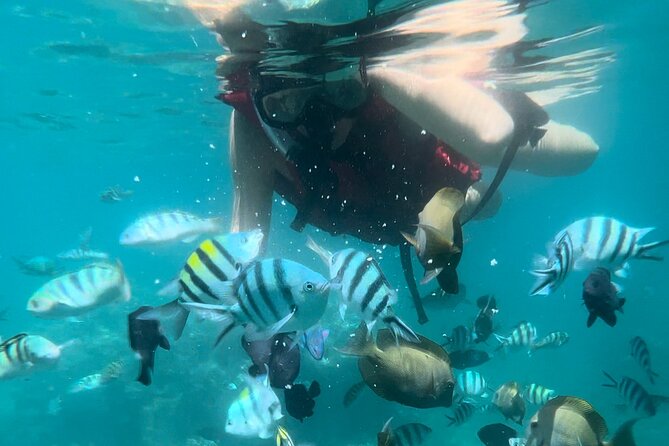 All Inclusive : Bali Blue Lagoon Snorkeling with Lunch &Transfers - Blue Lagoon Beach and its clear, shallow reef
