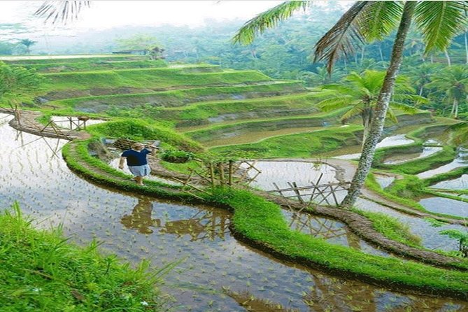 ALL INCLUSIVE - Bali Gate Of Heaven Tour - Your driver can make a long day easier