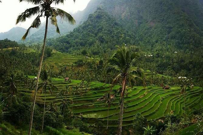 All inclusive Bali Sekumpul Waterfalls Trekking Tour - Optional stops: temple, hills, and a famous gate