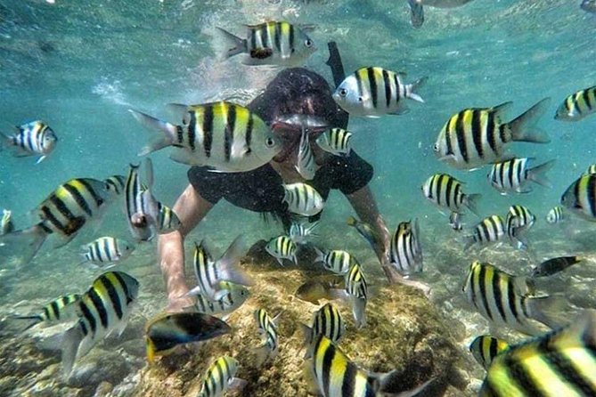 All Inclusive Bali Snorkeling Blue Lagoon tour experience - Blue Lagoon around midday