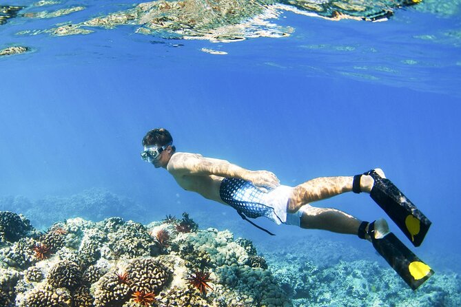 All Inclusive Blue Lagoon Snorkeling with Bali ATV Quad Adventure - The morning ride through mud, rivers, and jungle