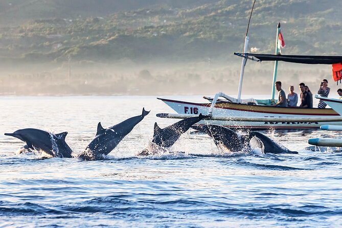 All inclusive Lovina Dolphins Sunrise tour, Waterfall & Temple - The pace, timing, and physical demands