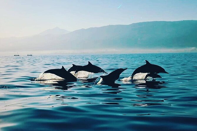 All inclusive Lovina Dolphins Sunrise tour, Waterfall & Temple - Ulun Danu Beratan Temple beside the lake