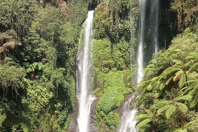 All Inclusive Sekumpul Waterfall Trekking , Handara Gate & Temple - Who should book this experience