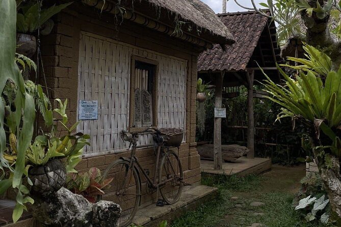 All Inclusive Ubud Cultural and Natural Highlights Tour - Tegalalang Rice Terrace and the swing photos