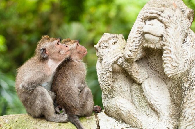 All-Inclusive Ubud Private Tour - Key points to know before booking