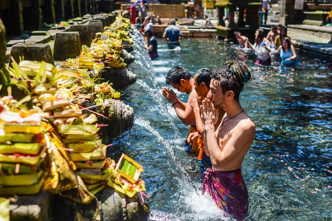 All-Inclusive Ubud Private Tour - Reading the terraces at Tegalalang