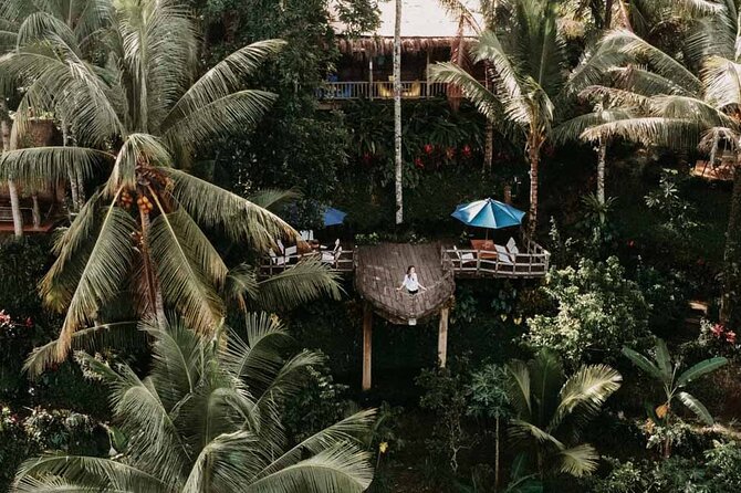 All-Inclusive Ubud Private Tour - Ending at Tegenungan Waterfall