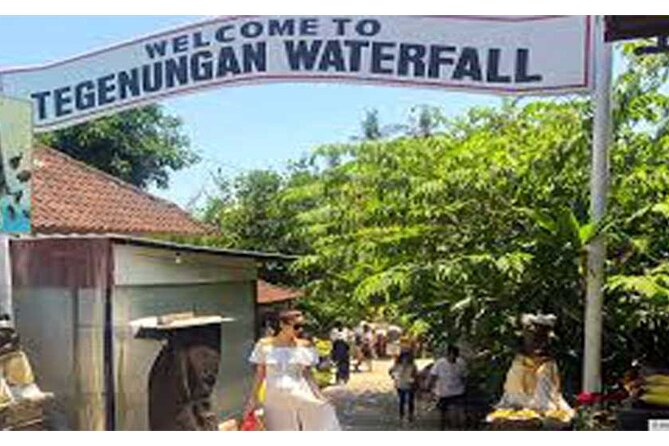 All Ticket Inclusive-Blue Lagoon Snorkeling-Ubud Monkey Forest & Ubud Waterfall - Why this private Bali day works