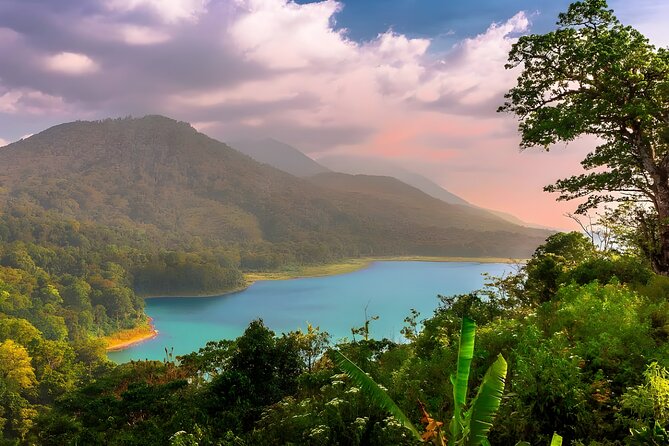 Amazing Bali Dolphin Watching Trip Experience - The real prize is Lovina at sunrise