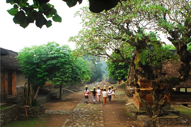 Amazing Private East Bali Full-Day Tour - Lunch, pickup, and what the $80 covers