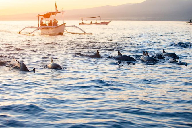 Amazing Private Tours: Dolphins Lovina and Gitgit Waterfall include Lunch - Why Lovina is worth the 2:30 am start