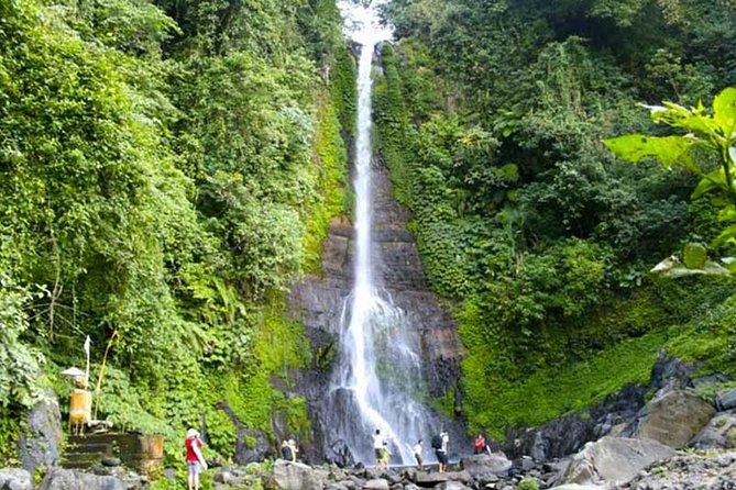 Amazing Private Tours: Dolphins Lovina and Gitgit Waterfall include Lunch - Lunch and Candikuning Market make the day feel local