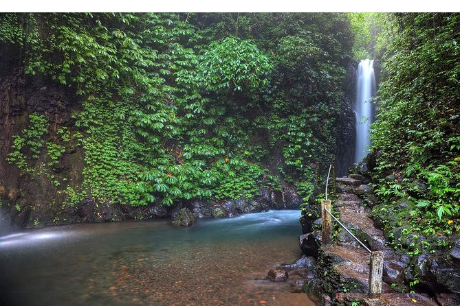 Amazing Private Tours: Dolphins Lovina and Gitgit Waterfall include Lunch - What the day feels like in practical terms